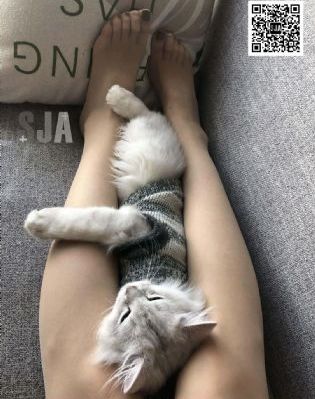 亚洲欧洲色情av_1080P免费电视剧